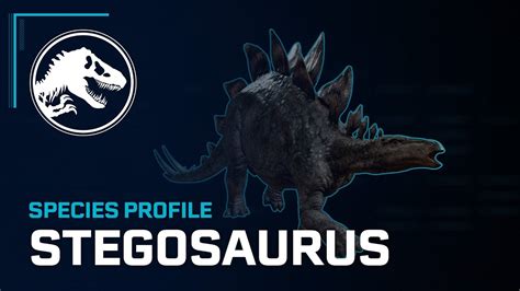 Species Profile Stegosaurus Youtube