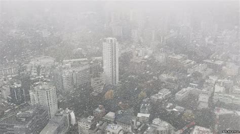 Snow Falls In Tokyo In November For The First Time In 54 Years Tokyo