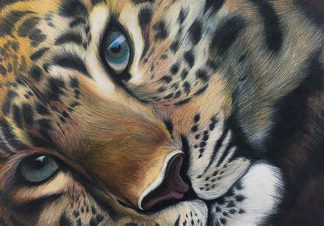 Instead of thinking of your shading as representing shadows, use the pencil shading next, use a yellow colored pencil to paint the whole fire and blend it with the orange sections. Leopard Colored Pencil Drawing | Colored pencil drawing ...