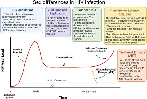 Frontiers Contribution Of Sex Differences To Hiv Immunology Pathogenesis And Cure Approaches