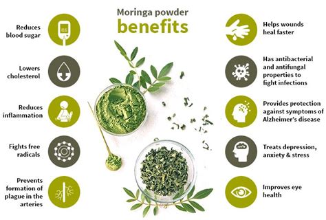 Health Benefits of Moringa Oleifera in 2021 | Moringa benefits, Moringa gambar png