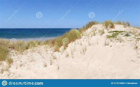 Pen Bron Naturist Beach Stock Photo Image Of Dunes