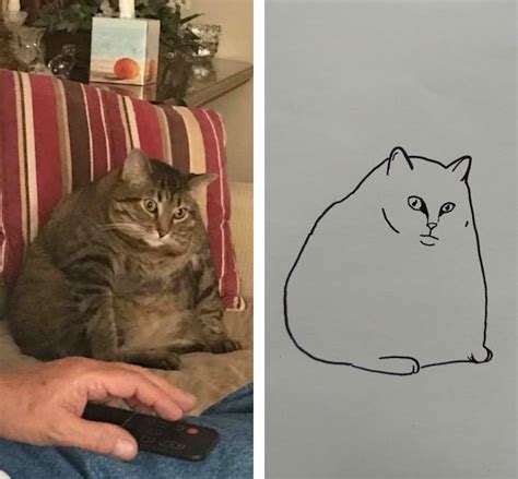 15 Minimalist Cat Drawings That Are Hilarious But Totally Accurate My Modern Met