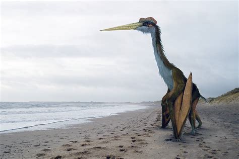 10 Datos Sobre Quetzalcoatlus El Pterosaurio Más Grande Del Mundo