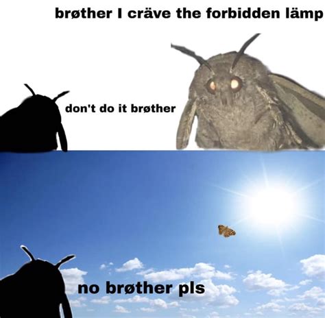 These Are 13 Of Our Favorite Moth Memes Brøther When In Manila