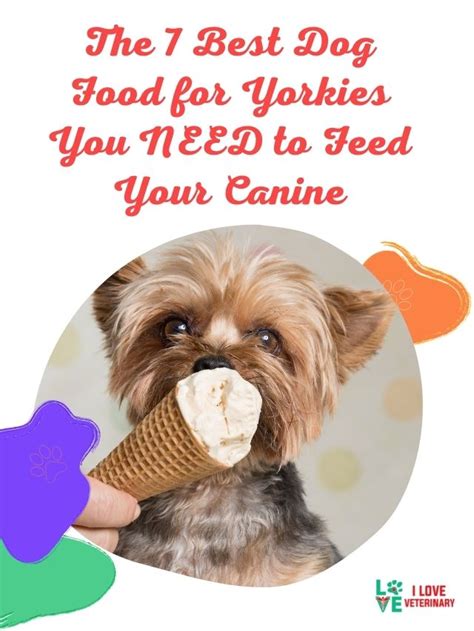 The 7 Best Dog Food For Yorkies You Need To Feed Your Canine I Love