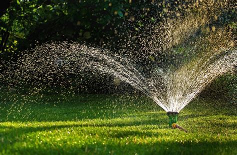Lawn Watering Tips Best Practices Weed Man Lawn Care