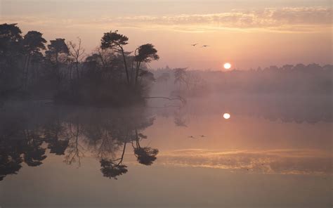 Nature Landscape Reflection Sunrise Lake Birds Flying Mist