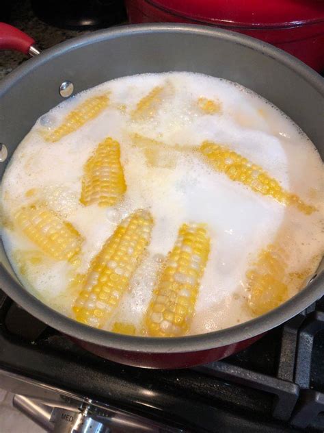 Butter Boiled Corn On The Cob 99easyrecipes