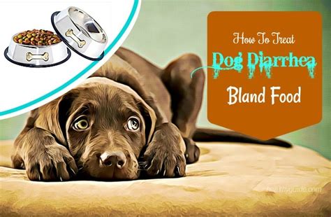 We did not find results for: 10 Tips How To Treat Dog Diarrhea & Vomiting With Blood ...