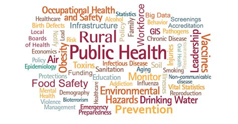 Pans Public Health Informatics Portfolio Use Data To Answer Public