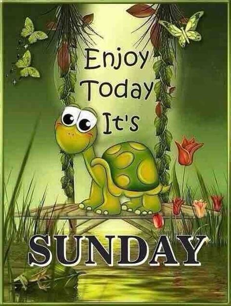 Pin By Nina Addis On Sunday Happy Sunday Quotes Good Morning Happy