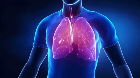 What happens when we breathe and how does breathing work? - Fun Kids