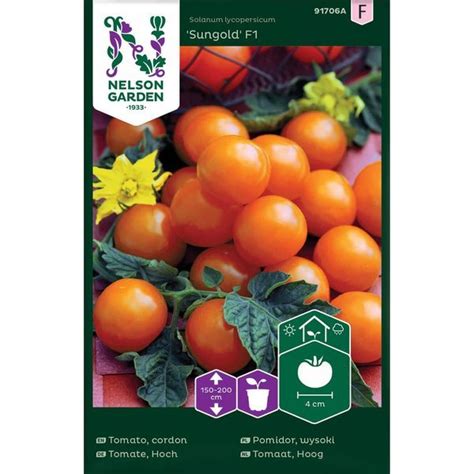 Cherry Tomato Sungold F1 Medium And Seeds Seeds