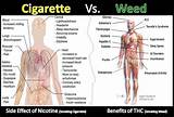 Is Smoking Marijuana Bad For Your Heart Images