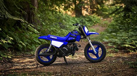 2021 model lts125 delight is. Yamaha Unveils Its 2021 Trail Bike Lineup