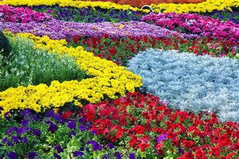 If You Are A Fan Of Colorful Gardens You Should Not Miss These Garden