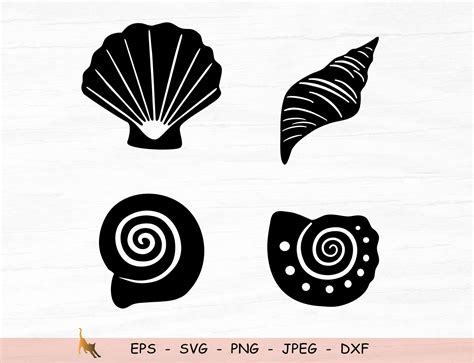 Seashell Svg Seashells Svg Seashell Svg File Ocean Svg Etsy My Xxx