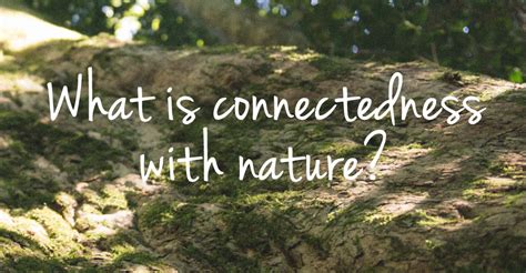 What Is Nature Connectedness