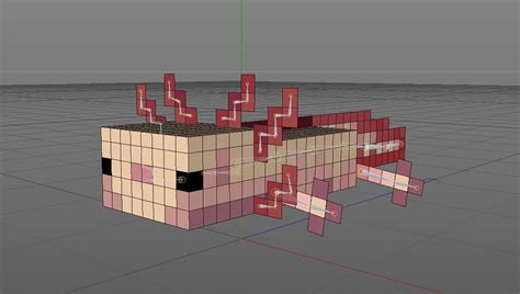 Minecraft Axolotl Texture
