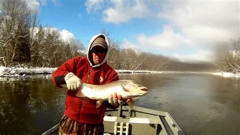 Michigan Steelhead Fishinghd 2019 Youtube