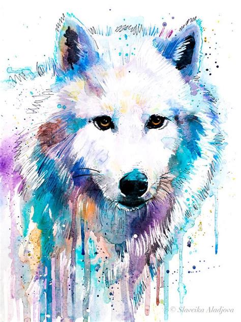 Arctic Wolf Watercolor Painting Print By Slaveika Aladjova Art Animal