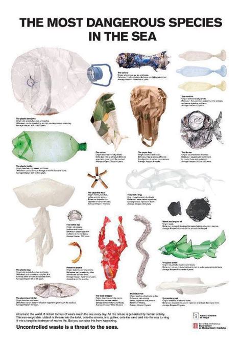 Draft Plastic And Toxins In Fish Smart Health Talk
