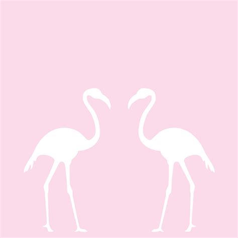 Flamingo Wall Decal Set Lulukuku