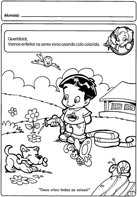 Atividades Seres Vivos Educação Infantil
