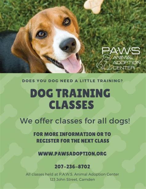 Dog Training Classes Available At Paws Penbay Pilot