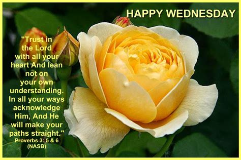 Pin By Rosa Well On Wednesday Blessings Rose Happy Wednesday