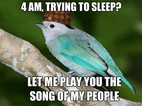 4 Am Trying To Sleep Let Me Play You The Song Of My People Misc