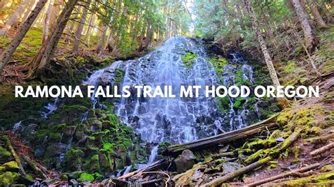 Ramona Falls Trail Mt Hood Oregon Youtube