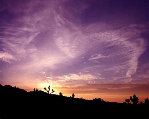 Desert sky. | Desert sunset painting, Desert sunset, California desert