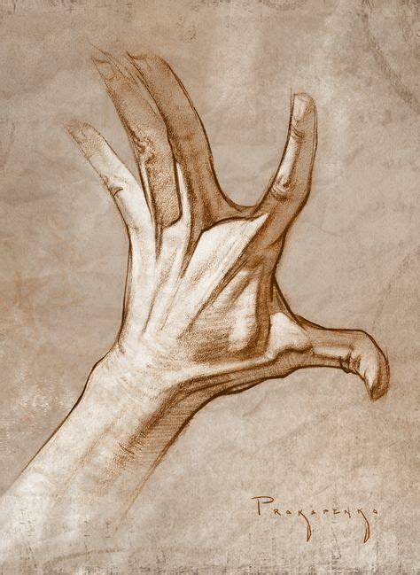 Drawing From Part One Of How To Draw Hands Hands Anatomy Drawing