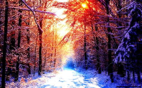 Winter Sunrise Wallpapers Wallpaper Cave