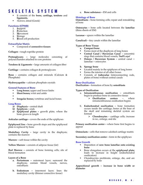 Solution 6 Skeletal System Studypool