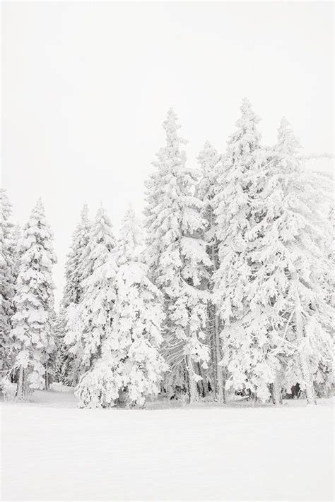 Snowy Forest Print Snow Covered Pine Trees Printable Wall Etsy