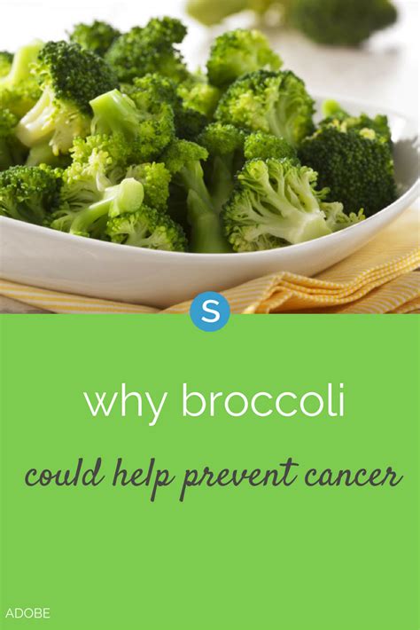 Heres The Reason Broccoli Helps Prevent Cancer Broccoli Cancer