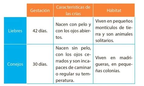 Cuadros de DOBLE ENTRADA Cómo Hacer Ejemplos Características