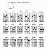 Images of Bass Guitar Sample Library
