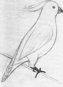 This tutorial will cover twelve different animal drawings, they are: Best 25+ Easy animal drawings ideas on Pinterest | Simple ...