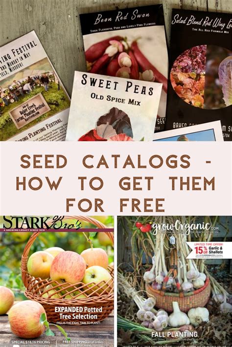 Seed Catalogs How To Get Them For Free Our Future Homestead Seed