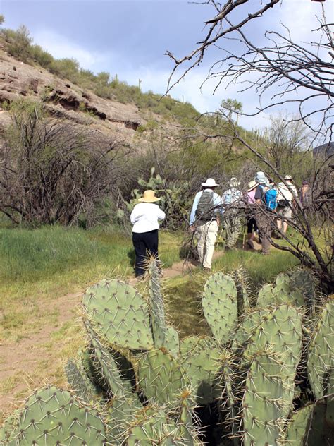 Check with the land trust for availabilty. Easy Cave Creek Cave Hike: Arizona History Preserved!