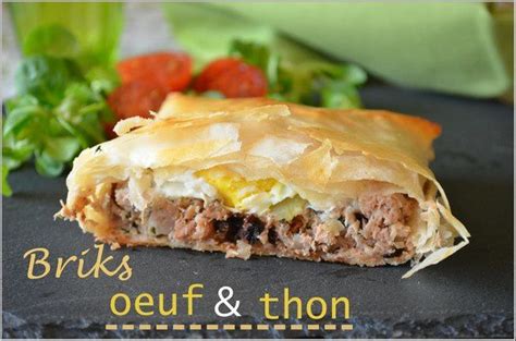 Elle se sert avec des tagliatelles fraîches ou du riz. Brick à l'œuf et au thon - Le blog de C'est Nathalie qui ...