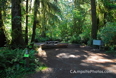 Prairie Creek Redwoods State Park Campsite Photos Campground