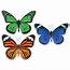 Woodland Whimsy Butterflies Cut Outs  Extra Large Classroom