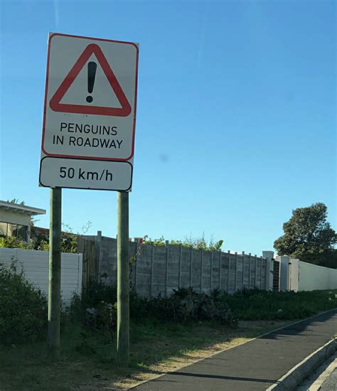 10 Most Unique Road Sign Around The World You Need To Know World