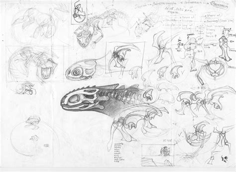 Learn sketching online at your own pace. Night Fury Anathomy sketches by DanGref on DeviantArt