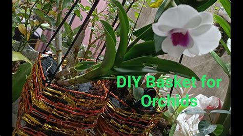 Diy Basket For Orchids Youtube